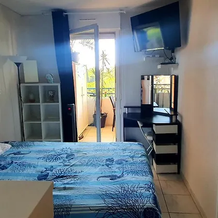 Appartement Beau T1 Piscine Tennis Cannes